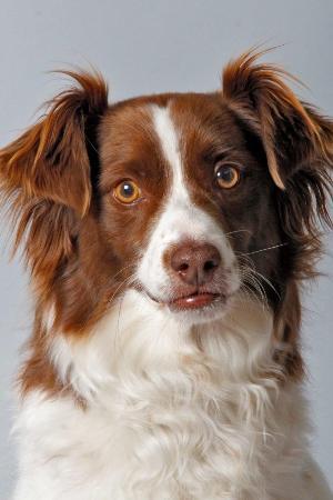 Sam