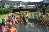 Impressionen vom mittelalterlichen Burgfest